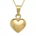 9 x 11 mm hjärta hängen med halskedja i 8 karat guld
