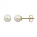 5 mm Støvring Design vita pärla örhängen i 8 karat guld