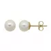 6 mm Støvring Design runda vita pärla örhängen i 8 karat guld