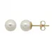 7 mm Støvring Design runda vita pärla örhängen i 8 karat guld