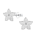 blommor örhängen i silver