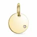 diamant hängen i 9 carat guld 0,01 ct