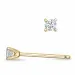 2 x 0,06 ct kampajn - diamant solitäreörhängestift i 14 karat guld med diamant
