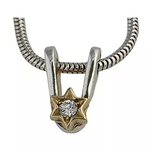 RS of Scandinavia stjärna hängen med halskedja i silver med 14 karat guld vit zirkon