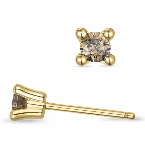 2 x 0,15 ct mörkbrun diamant solitäreörhängestift i 14 karat guld med mörkbrun diamant