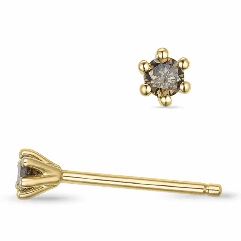 2 x 0,05 ct mörkbrun diamant solitäreörhängestift i 14 karat guld med mörkbrun diamant