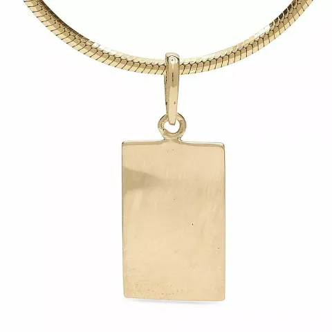 Kollektionsprov fyrkantigt hängen i 9 karat guld