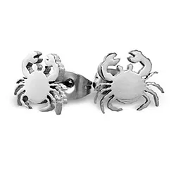 Krabba örhängen i Rostfritt stål