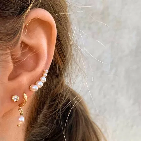 Hultquist Callie örhängen i förgyllt silver vit zirkon