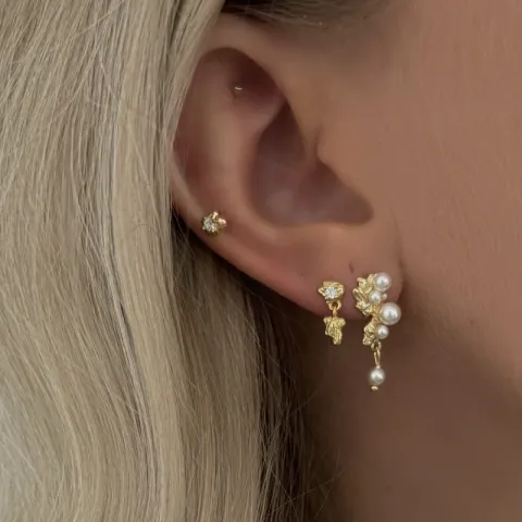 Nava Enya örhängen i förgyllt silver vit zirkon