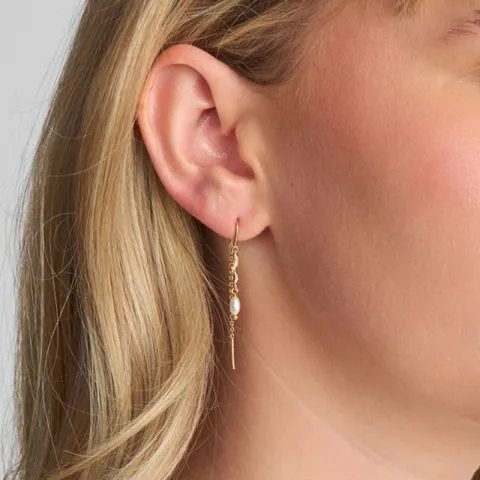 Studio Z Tangled pärla ear lines i förgyllt silver
