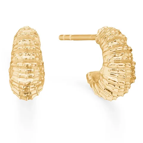 Studio Z Seashell Secrets örhängestift i förgyllt silver