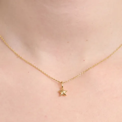 Studio Z Shiny Star halsband i förgyllt silver