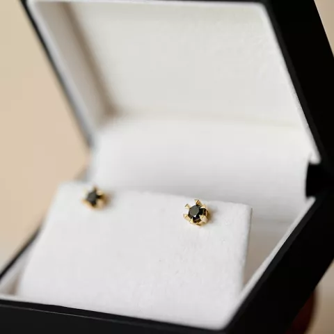 2 x 0,21 ct svarta solitäreörhängestift i 14 karat guld med svart diamant 
