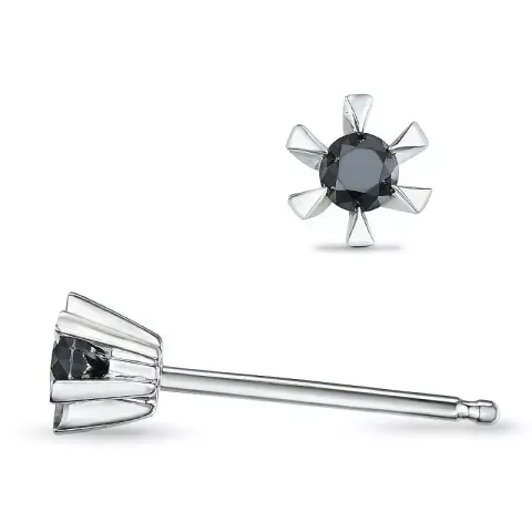 svarta diamant solitäreörhängestift i 14 karat vitguld med svart diamant
