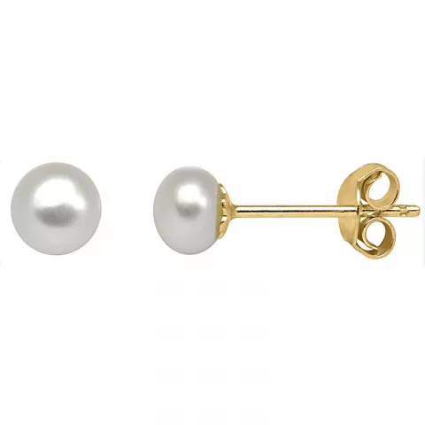 5 mm Støvring Design pärla örhängestift i förgyllt silver