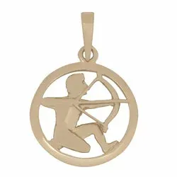 Siersbøl stjärnteck skytten hängen i 14 karat guld