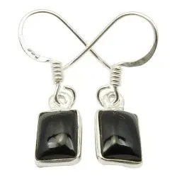 Fyrkantigt svarta onyxer örhängen i silver
