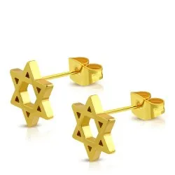 stjärna örhängen i förgyllt stål