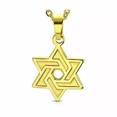 davidsstjärna hängen i förgyllt stål