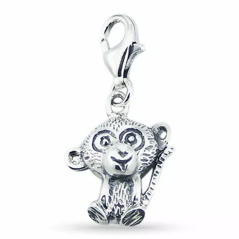 Charm i silver apa