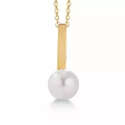 Lille Kranz och Ziegler pärla hängen i 8 karat guld med forgylld silverhalskedja