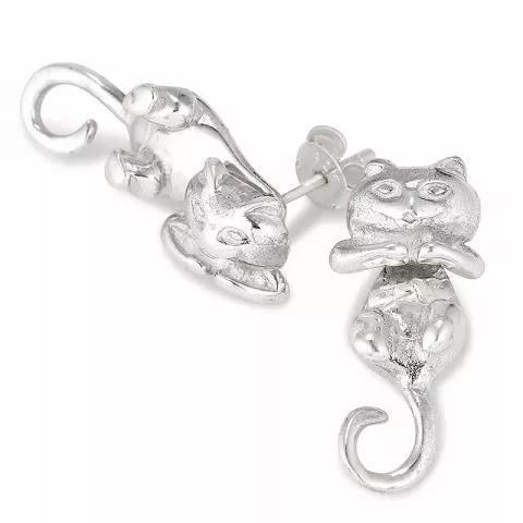katter örhängen i silver