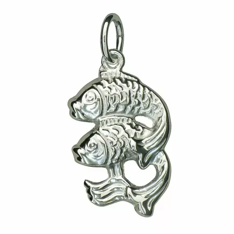 stjärnteck fisken hängen i silver