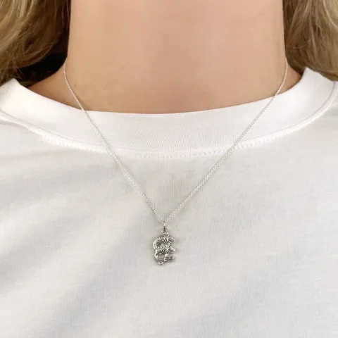 stjärnteck fisken hängen i silver