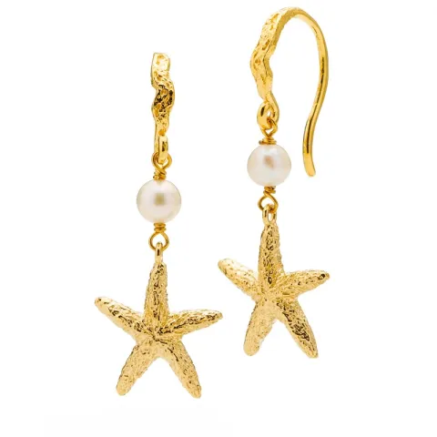 Sistie Selina sjöstjärna örhängen i förgyllt silver