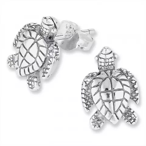 Kollektionsprov sköldpadda silverörhängen i silver