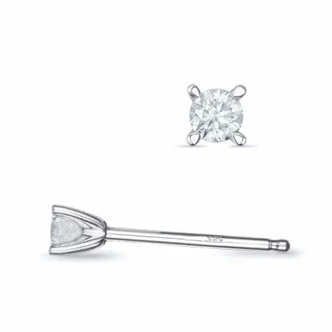 2 x 0,08 ct kampajn -  diamant solitäreörhängestift i 14 karat vitguld med diamant 