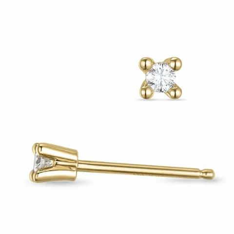 2 x 0,04 ct kampajn - diamant solitäreörhängestift i 14 karat guld med diamant