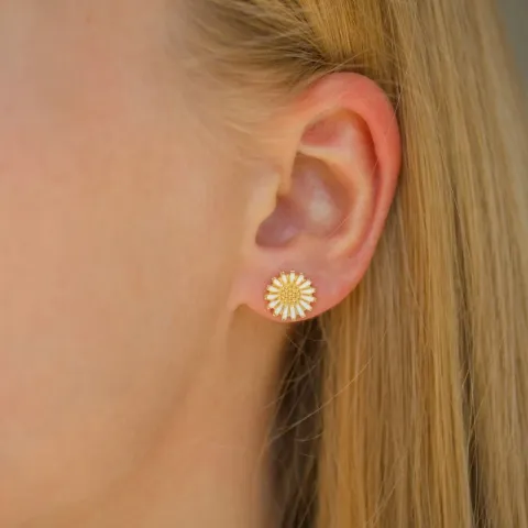 10 mm prästkrage örhängen i förgyllt silver
