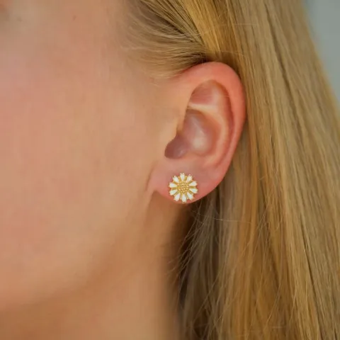 10 mm prästkrage örhängen i förgyllt silver