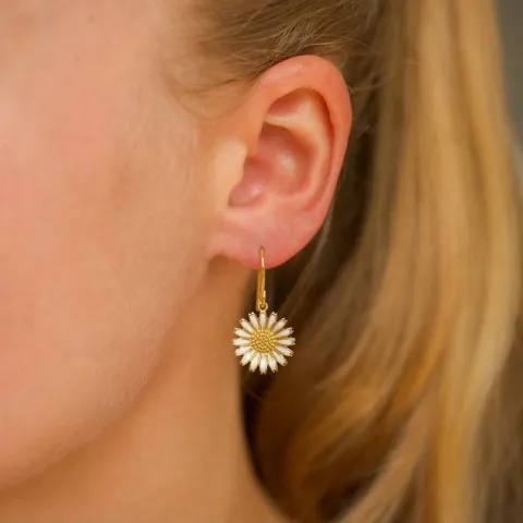 14 mm prästkrage örhängen i förgyllt silver