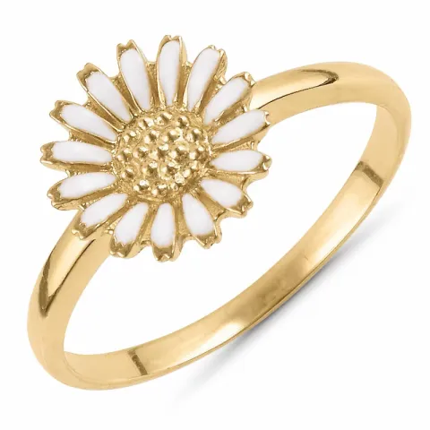 Kollektionsprov prästkrage ring i silver