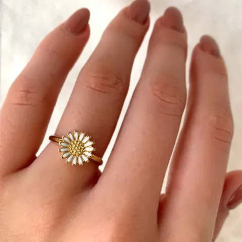 10 mm prästkrage ring i förgyllt silver