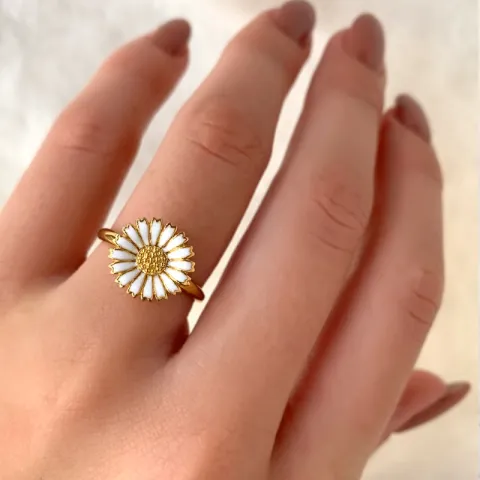 12 mm prästkrage ring i förgyllt silver