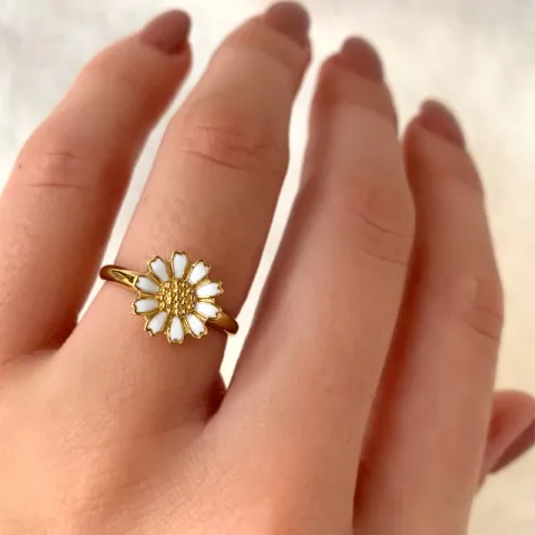 10 mm prästkrage ring i förgyllt silver