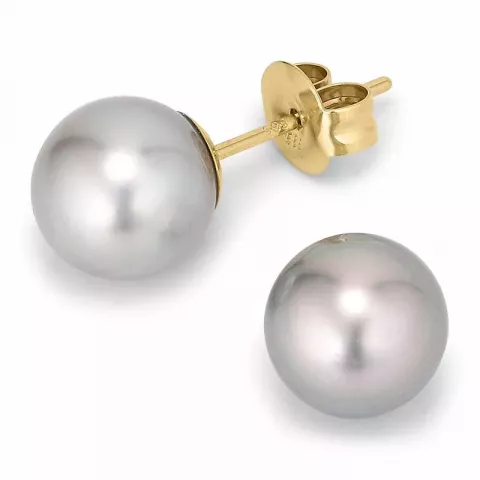 8,5-9 mm a-graderad tahiti pärla örhängestift i 14 karat guld