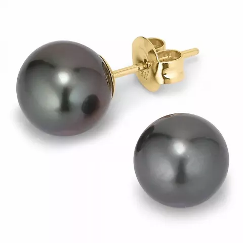9,5-10 mm a-graderad tahiti pärla örhängestift i 14 karat guld