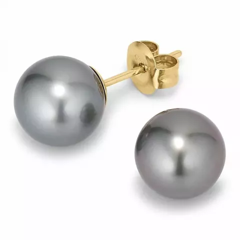 9,5-10 mm a-graderad tahiti pärla örhängestift i 14 karat guld