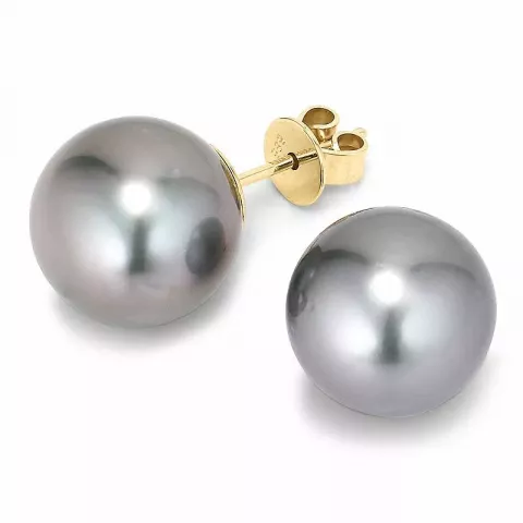 10 - 11 mm a-graderad tahiti pärla örhängestift i 14 karat guld