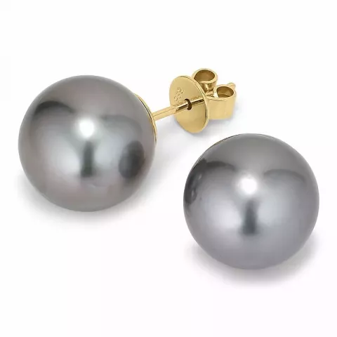 11 - 12 mm a-graderad tahiti pärla örhängestift i 14 karat guld