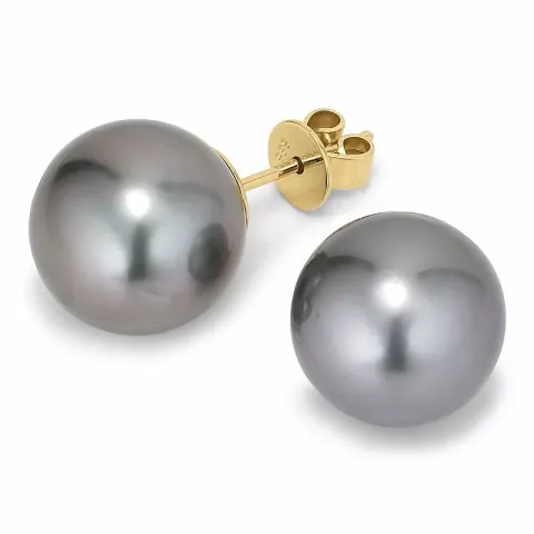 11 - 12 mm a-graderad tahiti pärla örhängestift i 14 karat guld