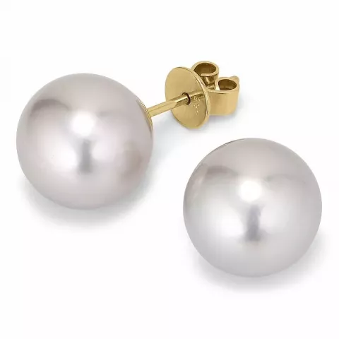10 - 11 mm a-graderad grå tahiti pärla örhängestift i 14 karat guld