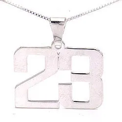 Siffra namnhalsband med hänge i silver