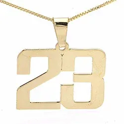 Siffra Namnhalsband med hänge i förgyllt silver