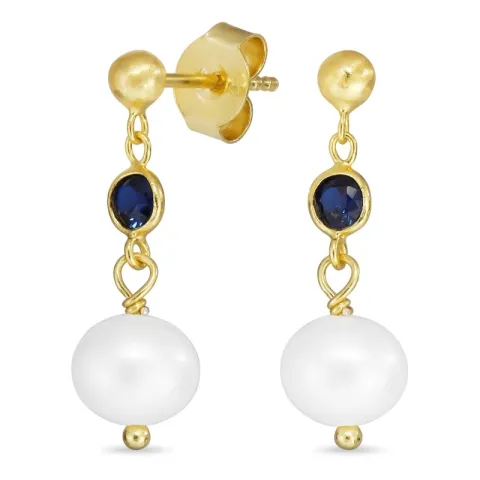 mörkblå kristal örhängen i förgyllt silver